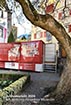 https://int-naturmuseum.gr.ch/de/besuch/shop/FotosPublikationen/JB_2024.jpg